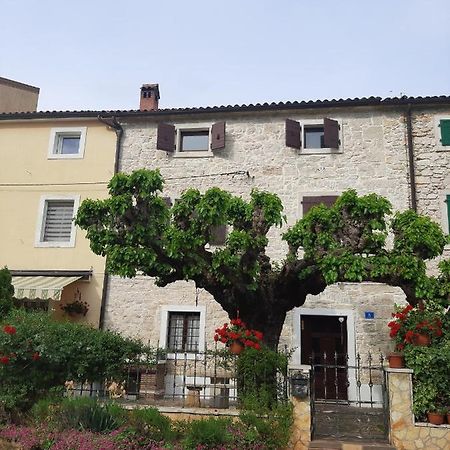 Villa Casa Girasole à Buje Extérieur photo