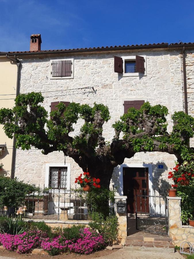 Villa Casa Girasole à Buje Extérieur photo